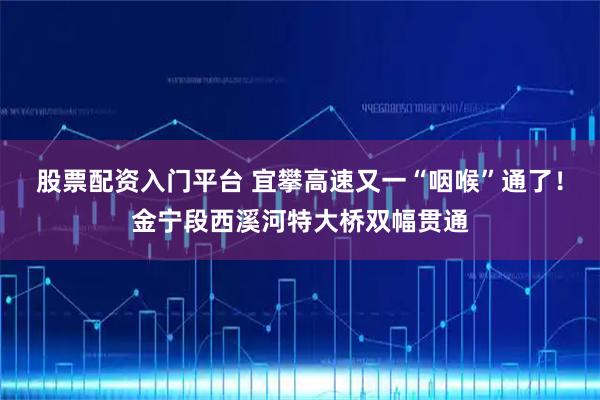 股票配资入门平台 宜攀高速又一“咽喉”通了！金宁段西溪河特大桥双幅贯通