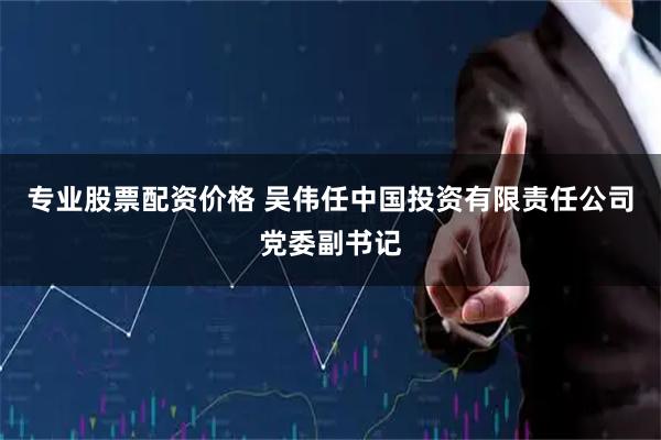 专业股票配资价格 吴伟任中国投资有限责任公司党委副书记